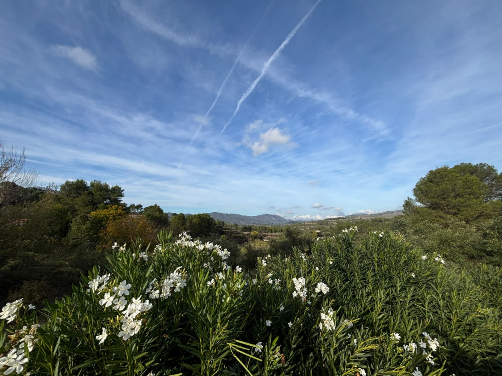 CHARMEUSE VILLA À VENDRE À PLANES